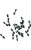 d9c09664029521809eff80b92403f843